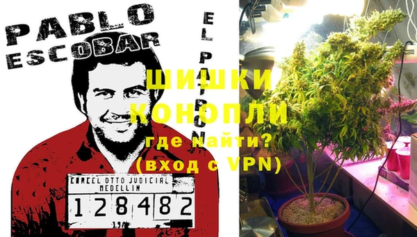 хмурый Няндома