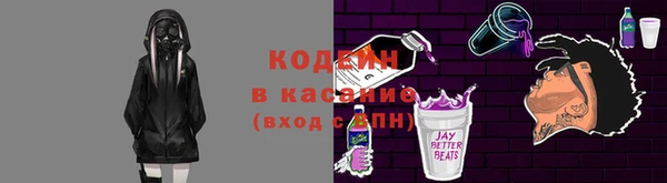 твердый Осинники
