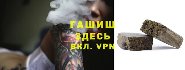 хмурый Няндома