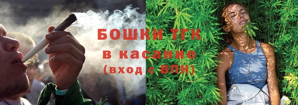 хмурый Няндома