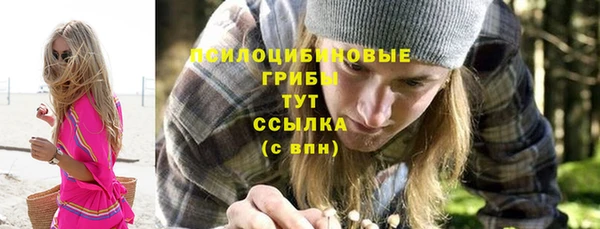 твердый Осинники